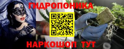 прущая мука Будённовск