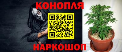 прущие грибы Бугуруслан